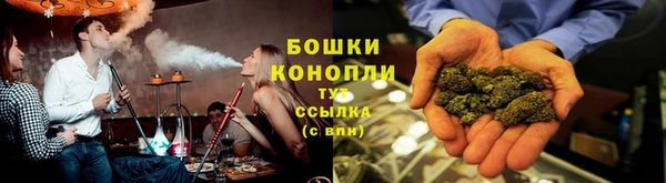 ГАЛЛЮЦИНОГЕННЫЕ ГРИБЫ Абаза