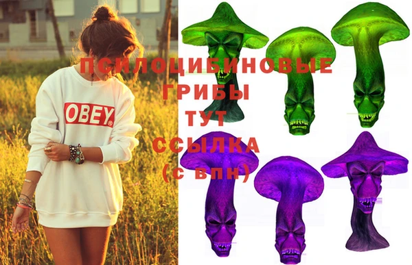 МДПВ Абдулино