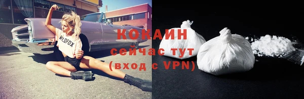 ГАЛЛЮЦИНОГЕННЫЕ ГРИБЫ Абаза