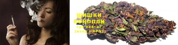 ГАЛЛЮЦИНОГЕННЫЕ ГРИБЫ Абаза