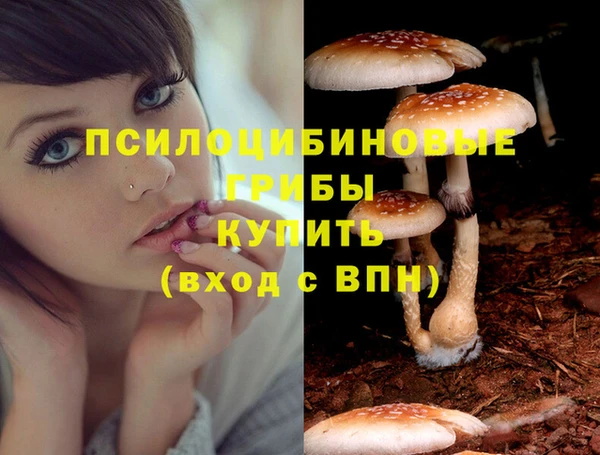 ГАЛЛЮЦИНОГЕННЫЕ ГРИБЫ Абаза