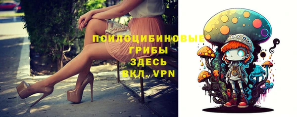 МДПВ Абдулино