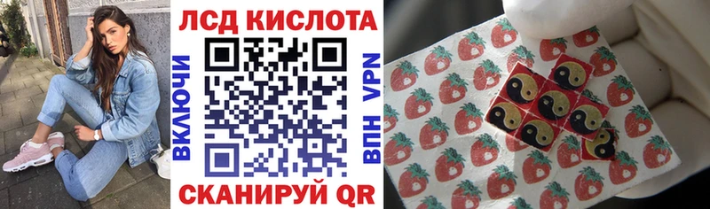 Наркотические марки 1500мкг  Кедровый 