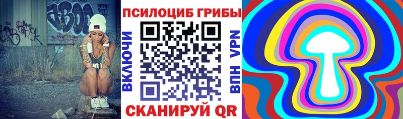 Псилоцибиновые грибы Magic Shrooms  Кедровый 